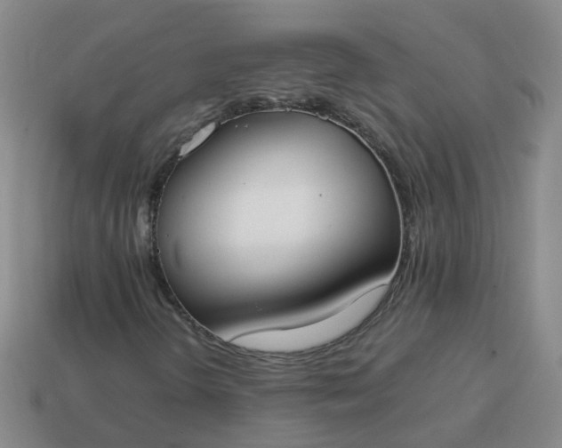 X0000113871298200910081718