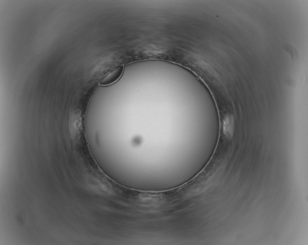 X0000113871299200910081718