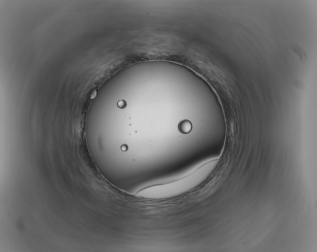 X0000113871300200910081718