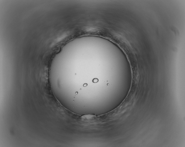 X0000113871301200910081718