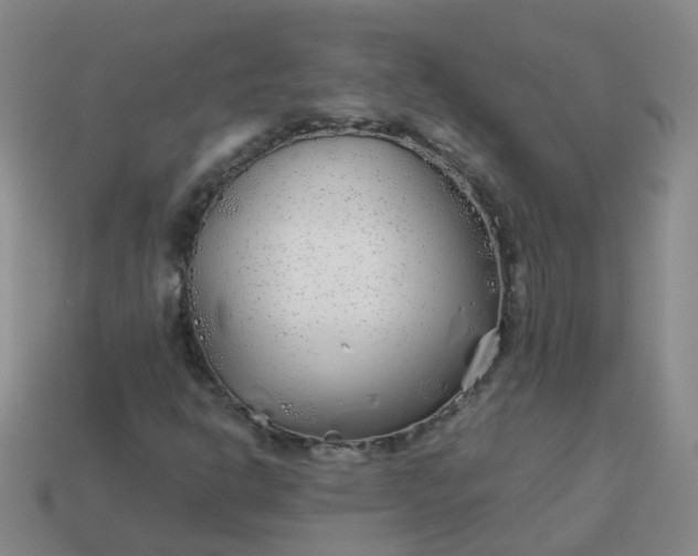 X0000113871302200910081718