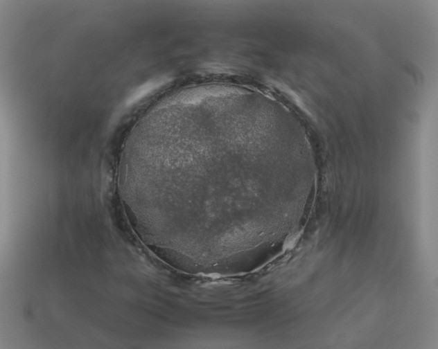 X0000113871303200910081718