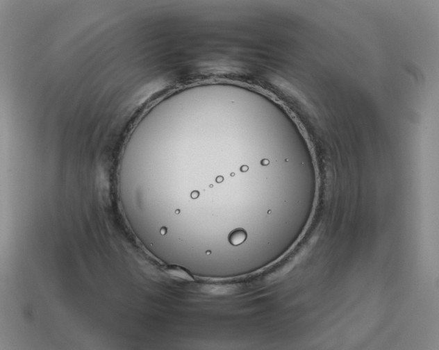 X0000113871305200910081718