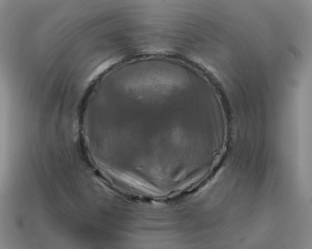 X0000113871306200910081718