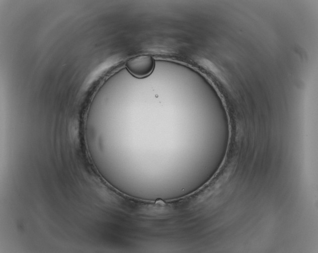 X0000113871307200910081718