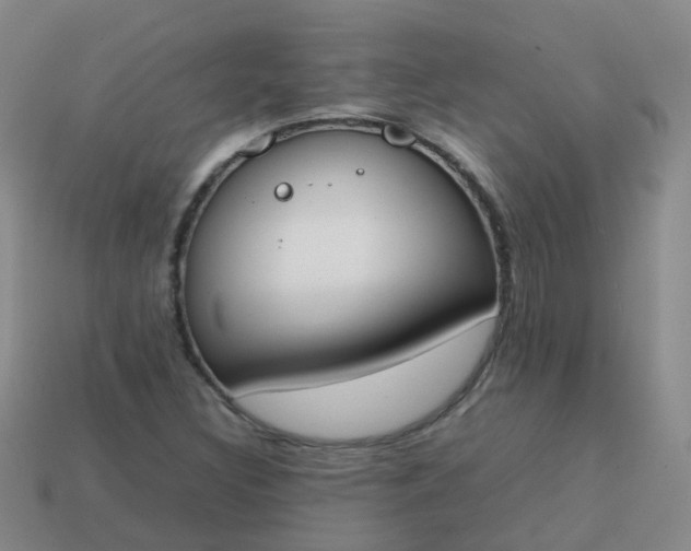 X0000113871308200910081718