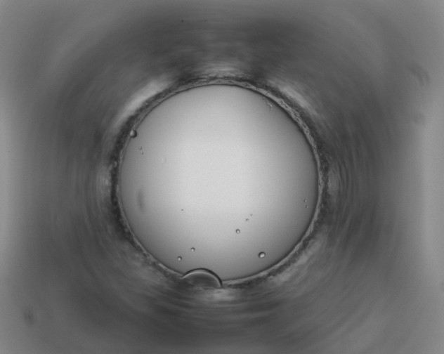 X0000113871309200910081718