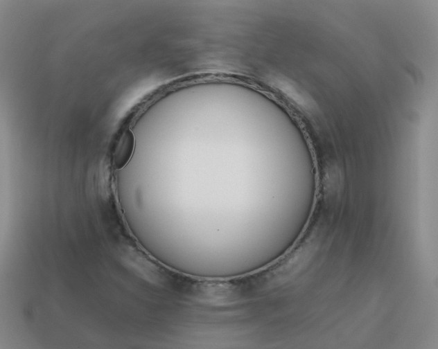 X0000113871310200910081718