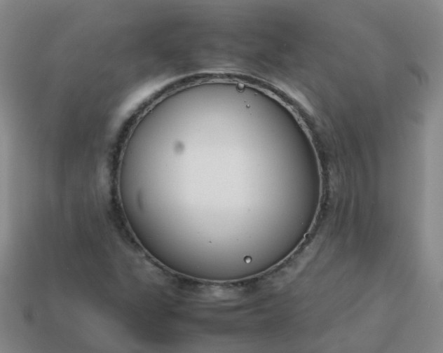 X0000113871311200910081718