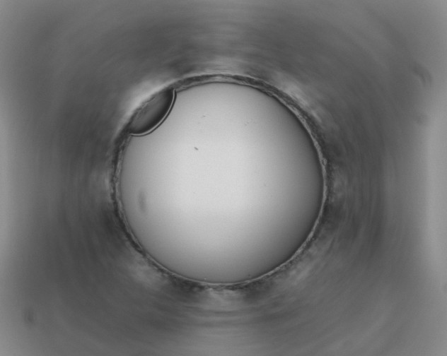 X0000113871312200910081718