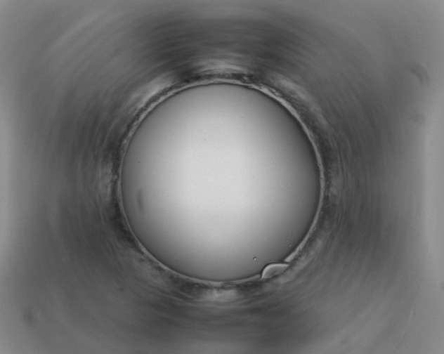 X0000113871313200910081718