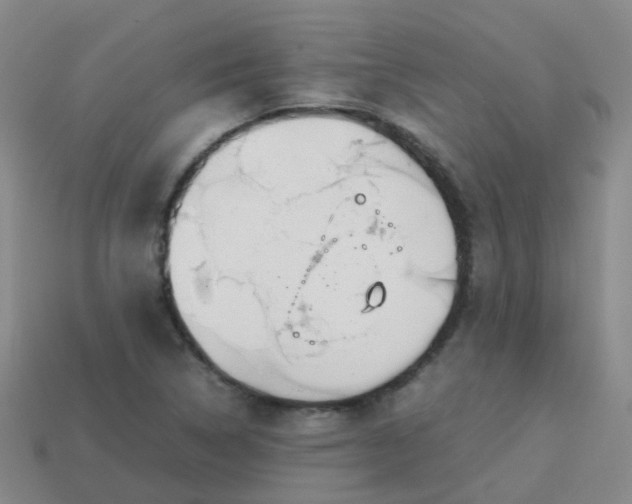 X0000113871314200910081718