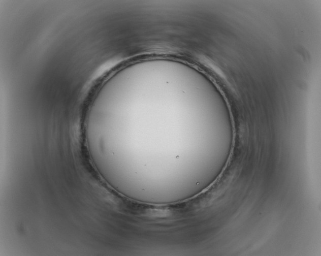 X0000113871315200910081718