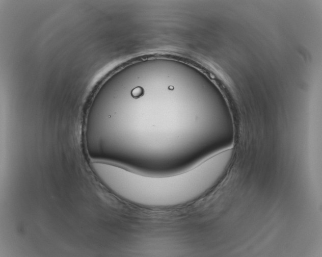 X0000113871316200910081718