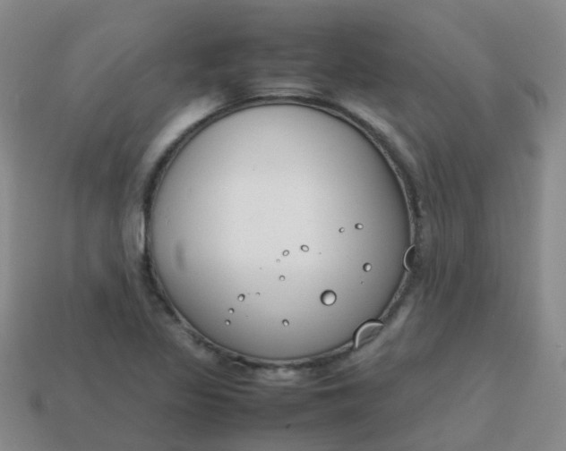 X0000113871317200910081718