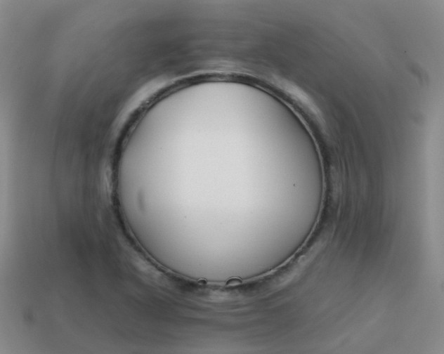 X0000113871318200910081718