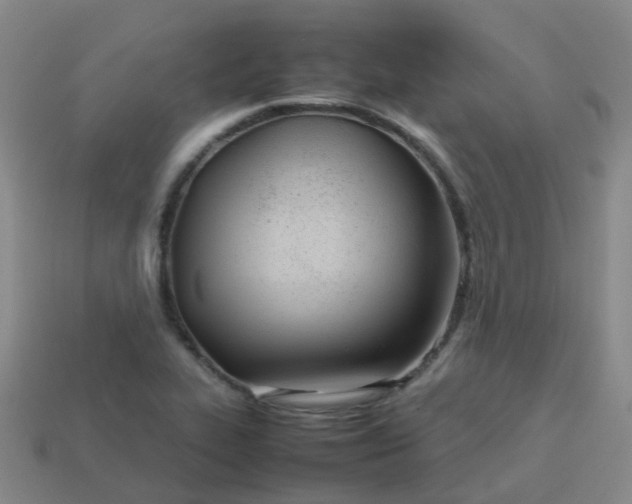 X0000113871319200910081718