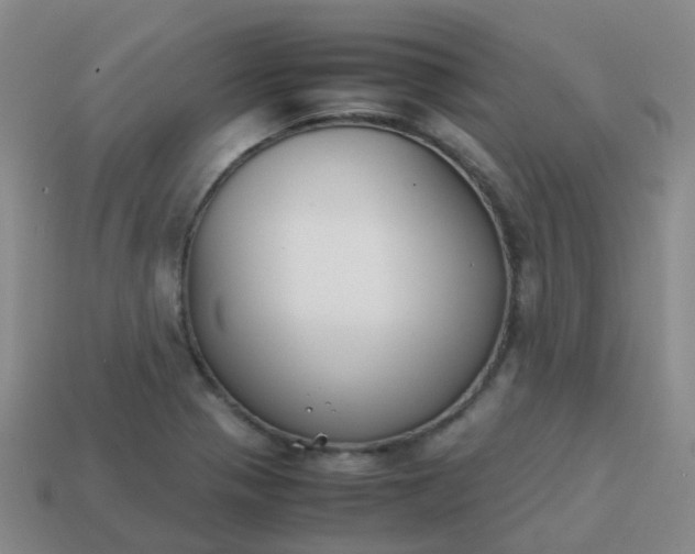 X0000113871321200910081719