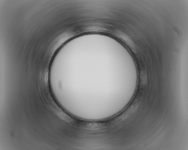 X0000113871322200910081719