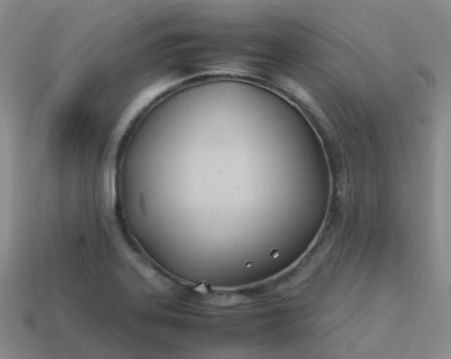 X0000113871323200910081719