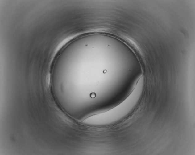 X0000113871324200910081719