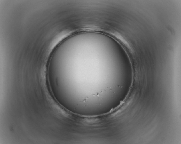 X0000113871325200910081719