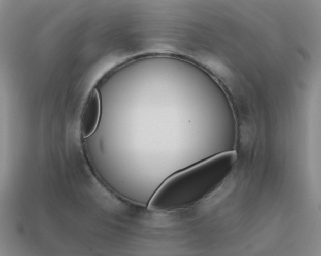 X0000113871326200910081719