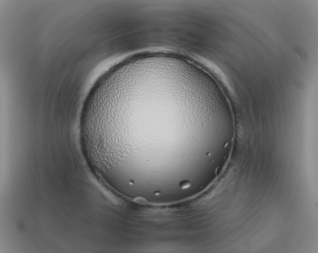 X0000113871327200910081719