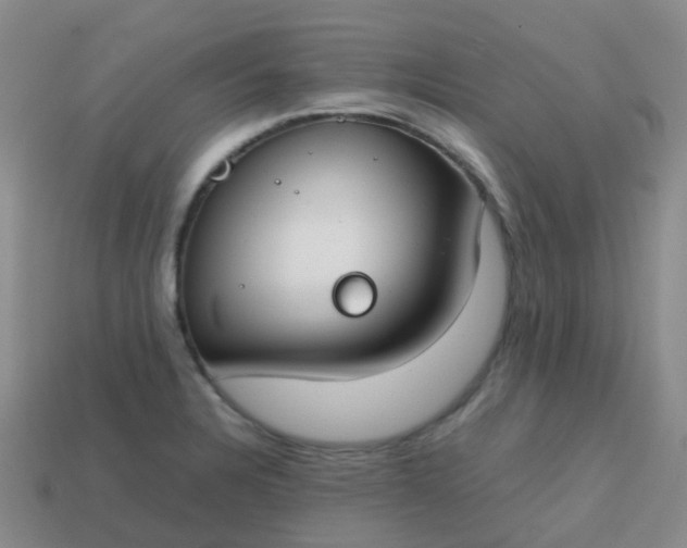 X0000113871328200910081719