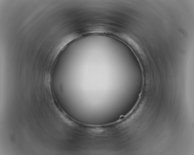 X0000113871329200910081719