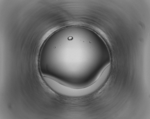 X0000113871330200910081719