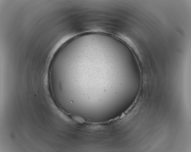 X0000113871331200910081719