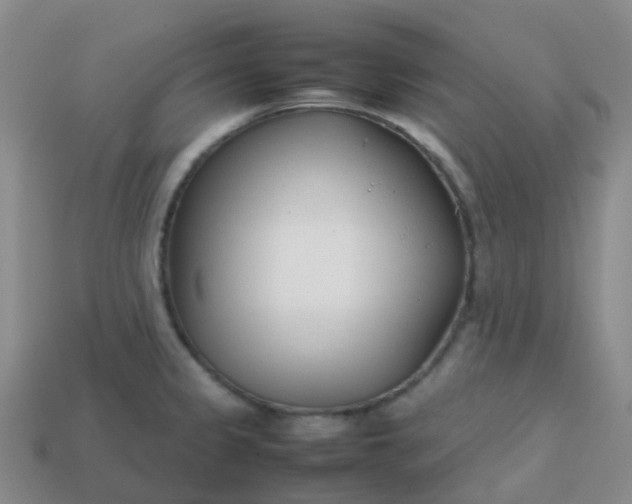 X0000113871333200910081719