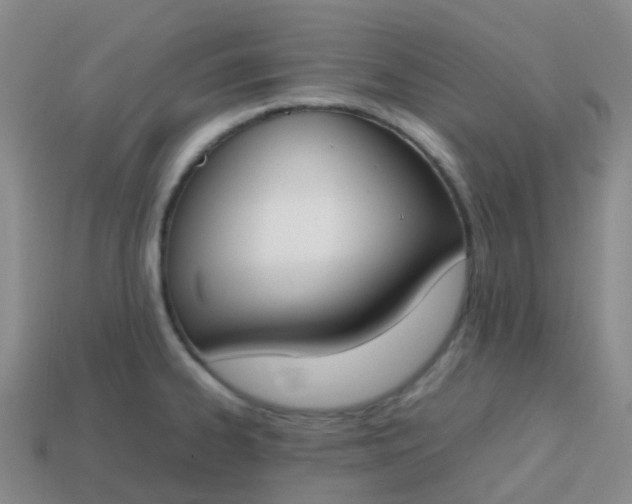 X0000113871334200910081719