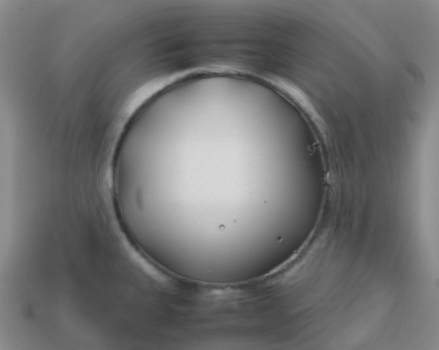 X0000113871335200910081719