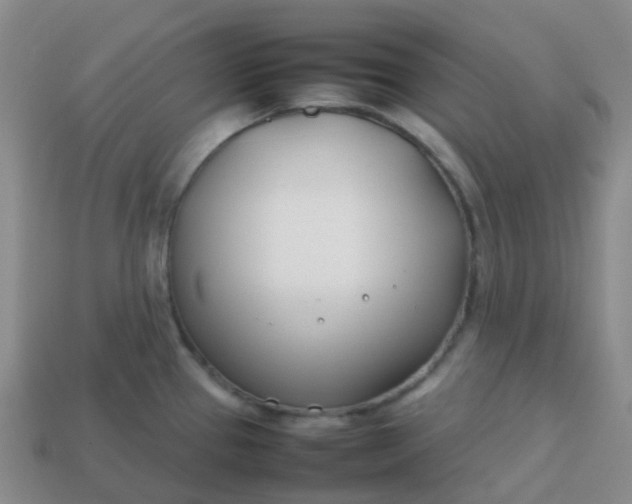 X0000113871337200910081719