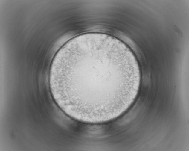 X0000113871338200910081719