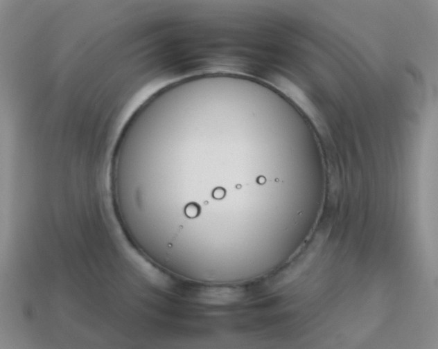 X0000113871339200910081719