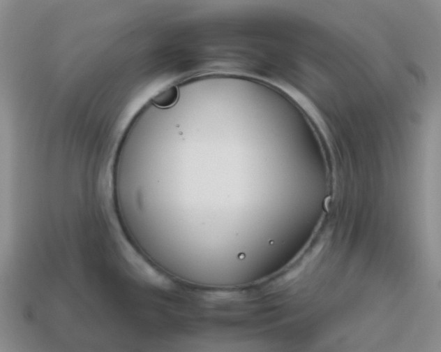 X0000113871341200910081719