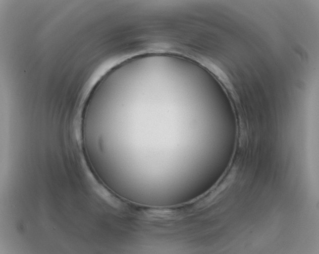 X0000113871342200910081719