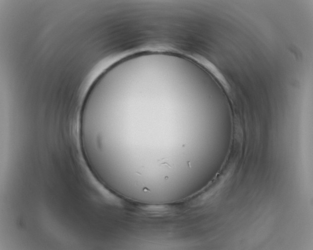 X0000113871343200910081719