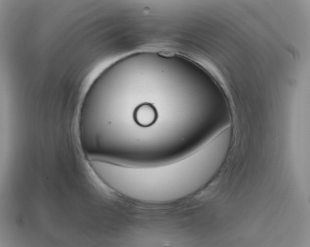 X0000113871344200910081719