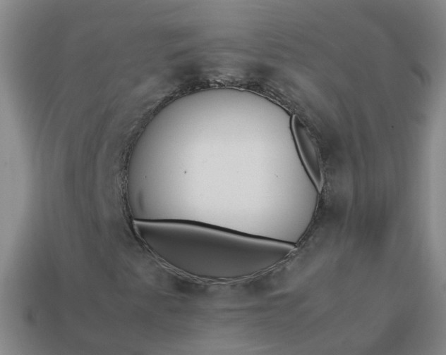 X0000113871345200910081718