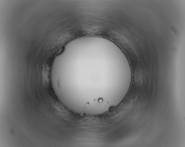 X0000113871346200910081718