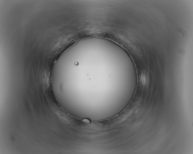 X0000113871348200910081718