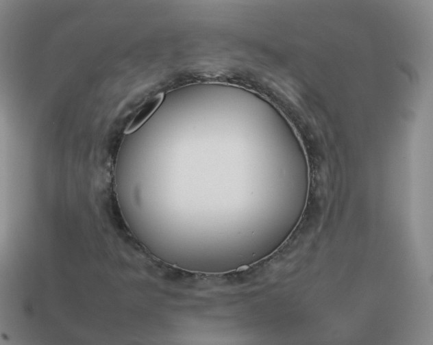 X0000113871349200910081718