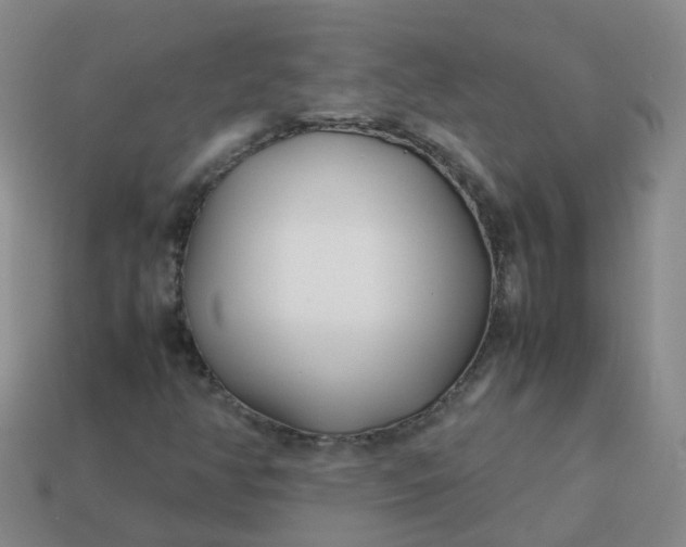 X0000113871350200910081718