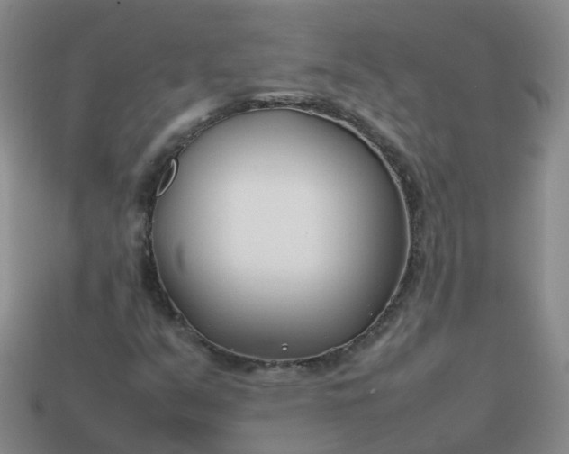 X0000113871351200910081718