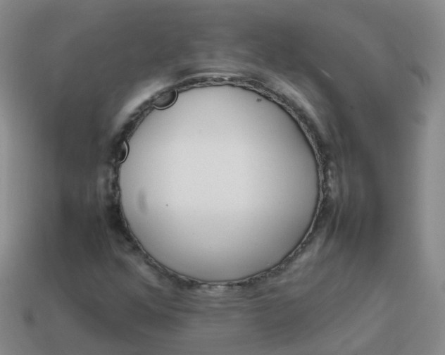 X0000113871352200910081718