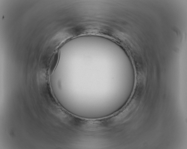 X0000113871353200910081718